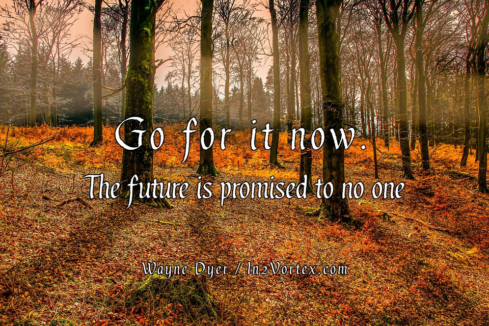 Go for it now. The future is promised to no oneRead more at www ...